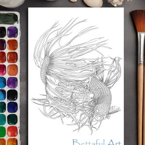Betta Fish Coloring Pages | Printable Aquarium Fish Art | Realistic Betta Downloads for Adults & Kids | Instant Download