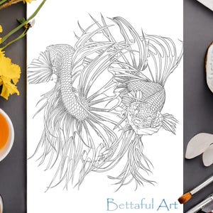 Betta Fish Coloring Pages | Printable Aquarium Fish Art | Realistic Betta Downloads for Adults & Kids | Instant Download