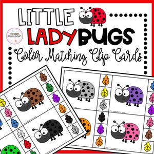 Carte con clip per l'abbinamento dei colori a forma di coccinella primaverile / Attività per la motricità fine e il riconoscimento dei colori per i più piccoli in età prescolare