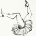 Arden Hale