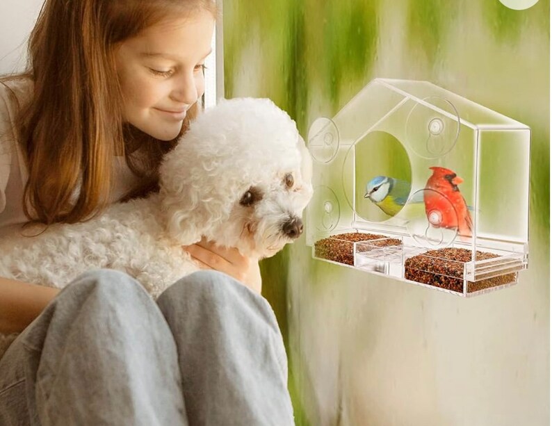 Acrylic Bird Feeder Etsy