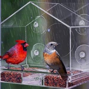 Clear Acrylic Window Bird Feeder Wild Bird Feeder Bird Feeder Hanging Bird  House Including Strong Suction Cups for Indoor Bird Watching Garden