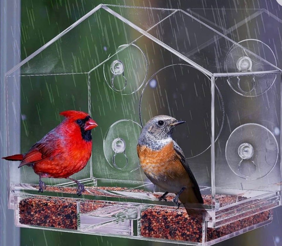 Window Bird Feeder with Strong Suction Cups, Clear Window Bird Feeders for  Outside - Transparent Bird House, Balcony Glass Mount, Acrylic Cat, Kids 