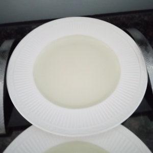 Vintage MIKASA Italian Sage Dinner Plate