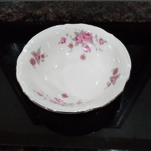 Vintage CHODZIEZ Rosa Obst Dessert Teller mit Platinrand