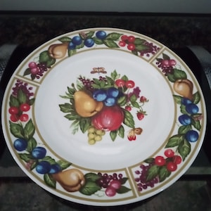 Vintage TIVOLI Gardens Dinner Plate