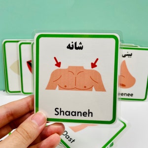 Persian body parts flashcards