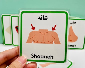 Digital Printable Farsi/persian Body Parts Flashcards - Etsy