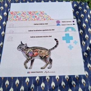 Pack of 4 laminated cat anatomy dials for pendulum divination dowsing