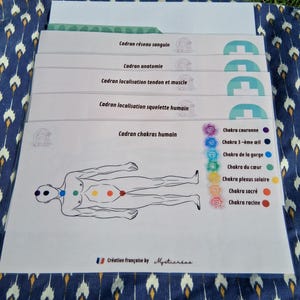 Packung mit 5 laminierten Anatomietafeln für den menschlichen Körper zur Pendelwahrsagung, Wünschelrutengängerei, Chakra-Arbeit und Energiearbeit.