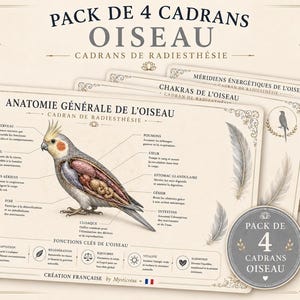 May include: A set of four dowsing charts featuring anatomical illustrations of a cockatiel. The charts include detailed diagrams with French text labels, feather motifs, and decorative borders on a cream background. A circular badge indicates a pack of 4.