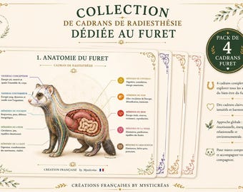 May include: A set of four dowsing charts titled Collection de cadrans de radiesthésie dédiée au furet. The primary chart displays an anatomical illustration of a ferret with labeled meridians and organs, surrounded by decorative floral borders and text.