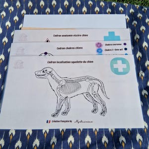 Paquete de 4 diales laminados de anatomía canina para adivinación con péndulo y radiestesia.