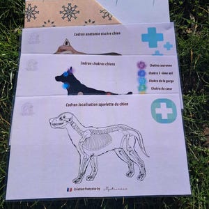 Puede incluir: Tres cartas de anatomía canina imprimibles, que incluyen un diagrama esquelético, un diagrama de chakras y un diagrama de anatomía visceral. Las cartas están impresas en papel blanco con tinta negra y presentan una gama de colores azul y morado.