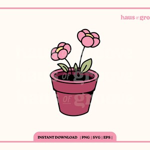 May include: A pink potted plant with two pink flowers and green leaves. The pot is a dark red color with a black outline.