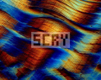 3 Liquid Symmetry Wallpapers - "Chromatic Surge" - Desktop & Phone - 4K Digital Download