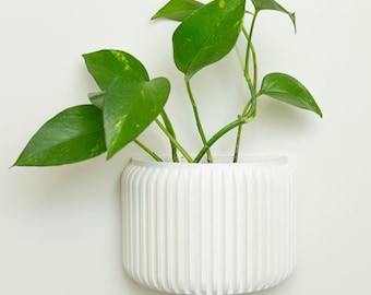 Wall Planter