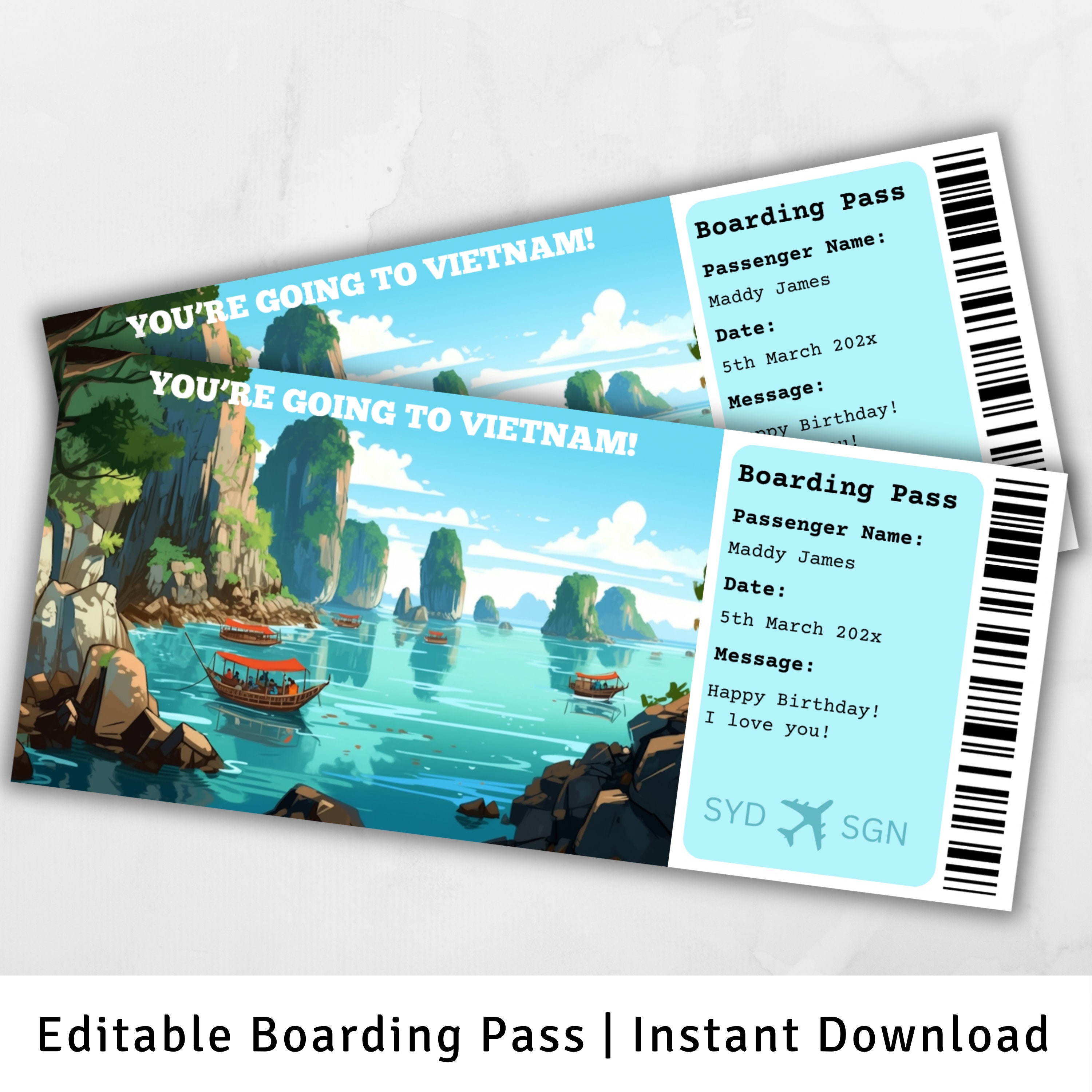 ソンチャン BOARDING PASS トレカ Boarding Pass Vietnam, Surprise Trip to Vietnam, Surprise Boarding