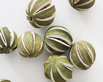 Whole Natural Dried Green Oranges – DIY Christmas Ornaments, Plant-Based Holiday Décor, Natural Dried Oranges for Crafts, Bag of 14-15 Limes