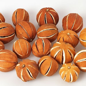 Bag of 10 Natural Dried Oranges - 1.75-2.25", DIY Christmas, Christmas ornaments, Plant based decors, Dried lOranges.