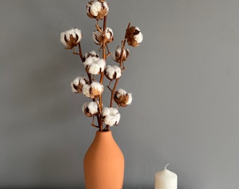 Cotton Stem, Cotton Balls, Cotton Branches, Natural Cotton Flowers, Cotton Blossom