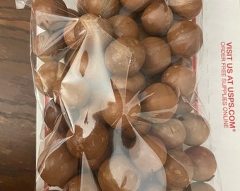 macadamia nuts in shell