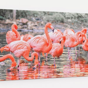 Flamingos Wall Art Print, Flamingo Art Print, Flamingo Photography, Pink Flamingos Poster, Animal Wall Art, Tropical Wall Decor, Canvas Art