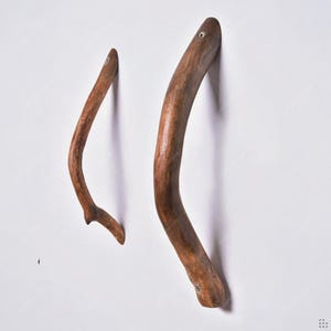 May include: Two curved wooden wall hooks fixed to a white wall. The hooks are crafted from natural wood, displaying a warm brown hue and organic forms. Each hook is attached with a small screw, providing a rustic and practical design feature.