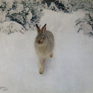 Rabbit in Winter Painting
