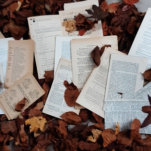 Páginas de libros vintage
