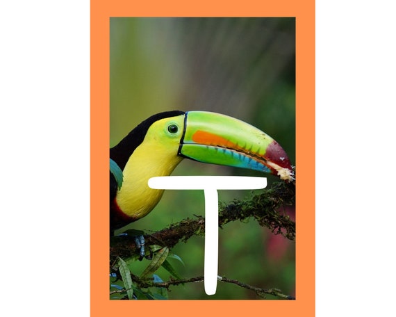 Printable Name Letter Animal Art: T & T Digital Files A4 - Etsy Printable Name Letter Animal Art: T & T Digital Files A4 - Etsy