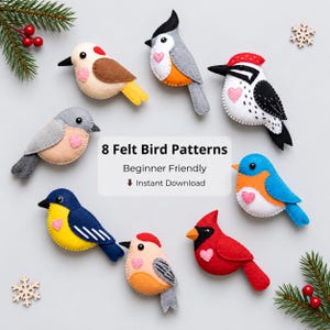 May include: Eight felt bird patterns featuring various colorful birds with small pink hearts on their chests. The text reads 8 Felt Bird Patterns, Beginner Friendly, and Instant Download. The birds are arranged around the central text.