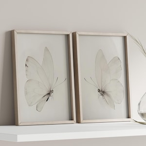 White Butterflies Ink Painting Set of 2 Poster or Canvas Print, Vintage Wall Art Butterfly Drawing, Minimalist Pair Butterflies Wall Art