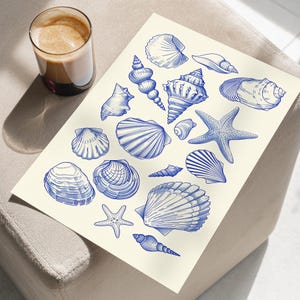 Seashells Blue Line Drawing Nursery Wall Art Poster or Canvas Print, Seashell Collection Print, Trendy Coastal Wall Art, Beach House Decor