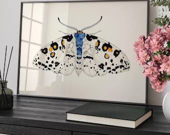 Moth Art Print Poster or Canvas, Minimalist Insect Artwork, Modern Nature Wall Art, Whimsical Moth Cottagecore Wall Art, Nursery Room Decor