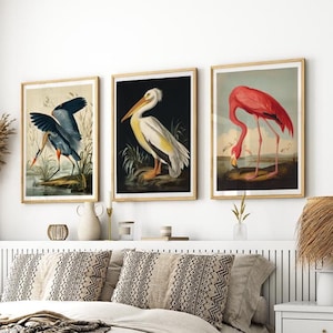 Set of 3 Vintage Bird Wall Art Poster or Canvas Prints, Great Blue Heron, American White Pelican, Pink Flamingo, Nature Illustration Print