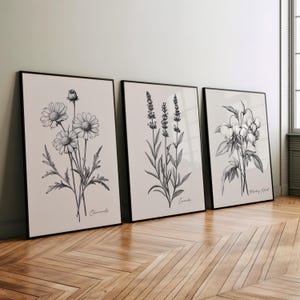 Vintage Minimalist Flowering Plants 3 Piece Set Wall Art Poster or Canvas Print, Floral Botanical Line Drawing, Flowers Gray Illustration