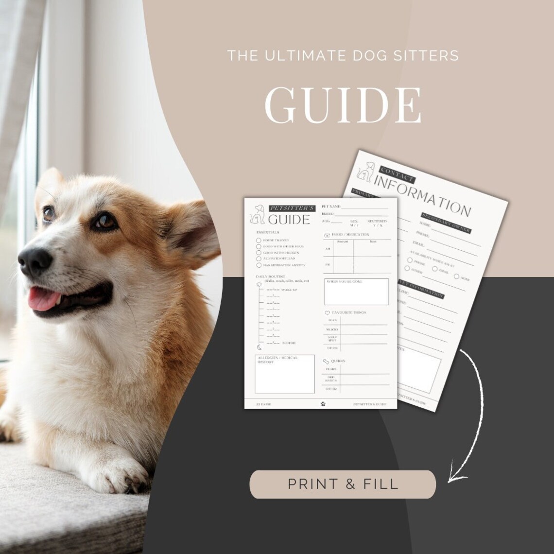 Dog Sitter Instructions Printable Pet Sitter Template Petcare Info