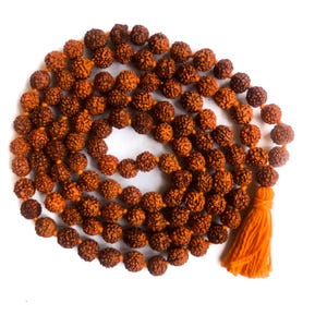 Puede incluir: Un collar de cuentas Rudraksha marrones con una borla naranja. Las cuentas son redondas y tienen una superficie texturizada. La borla está hecha de hilo naranja. Las cuentas están ensartadas en una cuerda.
