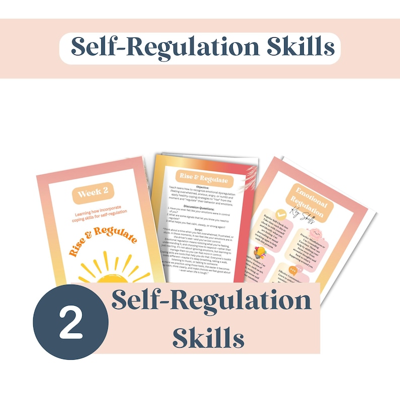 May include: A collection of educational materials with the text "Self-Regulation Skills." The materials include three colorful cards with titles like "Rise & Regulate" and "Emotional Regulation." A dark blue circle with the number "2" is also present.