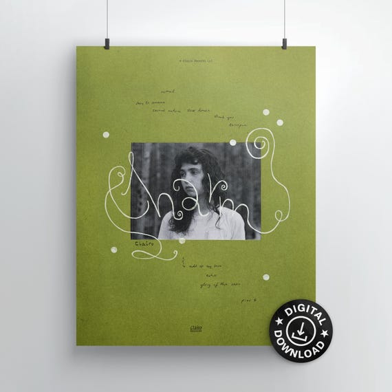 charm – clairo poster