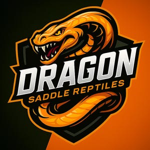 Custom Unique Gaming Mascot Logo,Custom Cartoon Logo,Gamer Logo,Custom Mascot Logo,Hand-Drawn Cartoon Mascot Logo, Cartoon e-sport Logo