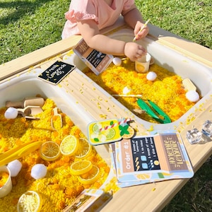 Limonadekraam Receptkaarten, activiteitenkaarten, limonade zintuiglijk spelen