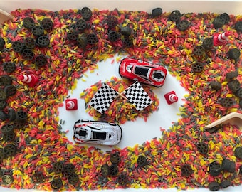 Relleno sensorial de coche de carreras, arroz sensorial, arroz de coche de carreras, relleno sensorial de coche, juguetes de coche para niños, coches de carreras, juego sensorial, coche de carreras sensorial