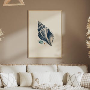 Whelk Shell Study Print, Vintage Nautical Wall Art, Coastal Sea Shell Poster, Navy Cream