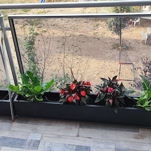 Può includere: Quattro vasi neri con diverse piante, tra cui fiori rossi e fogliame verde, sono allineati su un balcone con vista su un'area erbosa.