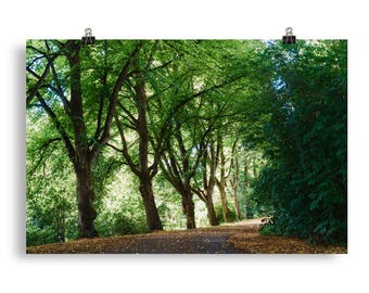 Green Forest Path Print – Scandinavian Nature Photography, Botanical Wall Decor
