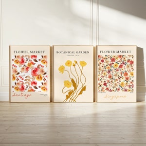 Flower Market Prints, Set of 3, Floral Wall Set, City Flower Poster, Gallery Wall Art Set, Botanical art prints, Santiago, Singapore,Digital