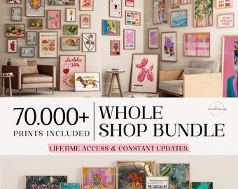 Entire Shop Sale, Bundle Wall Art, Vintage Gallery Set, Eclectic and Maximalist Prints, Kitchen Wall Decor, Nursery Prints, Trendy Posters