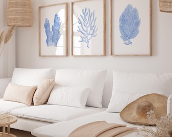 May include: Three framed prints of blue coral designs on a white wall above a white couch with a tan throw blanket and a straw hat.